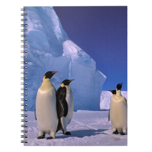 Antarctica Australian Antarctic Territory 7 Notebook