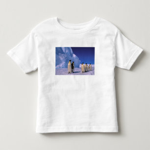 Antarctica, Australian Antarctic Territory, 7 Toddler T-shirt