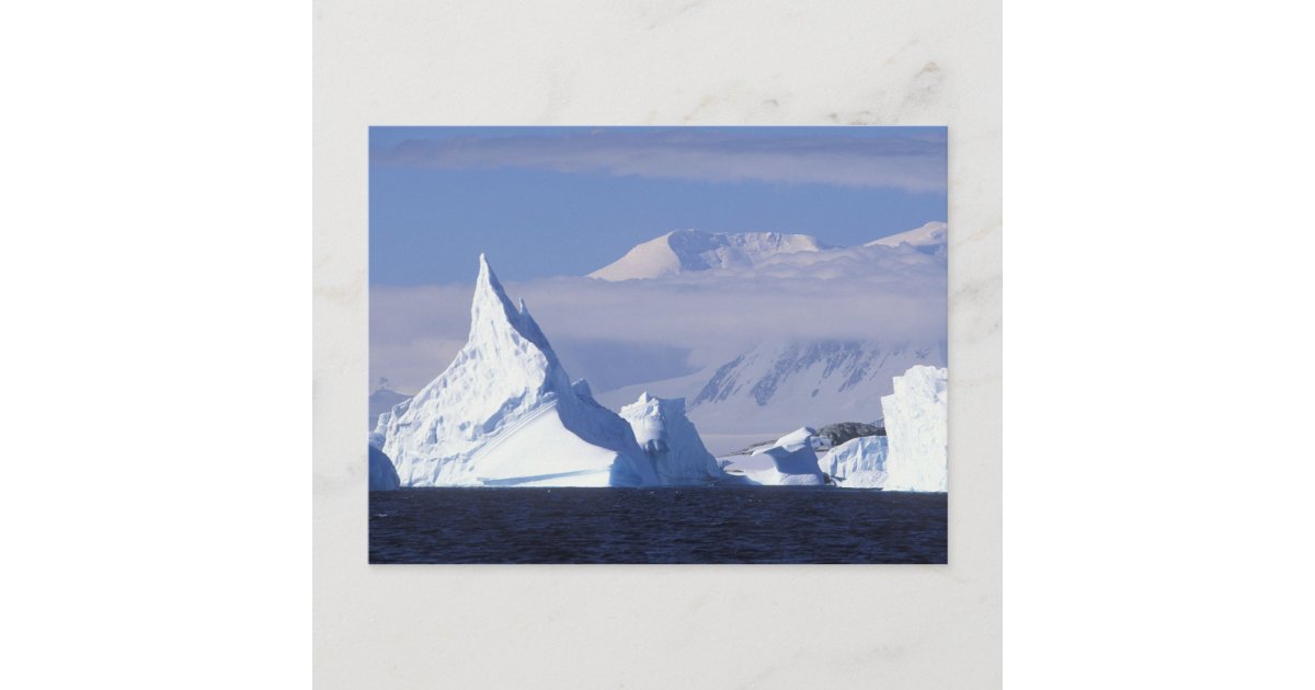 Antarctica, Boothe Island, Afternoon sun Postcard | Zazzle