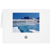 Antarctica Cards (Back Horizontal)