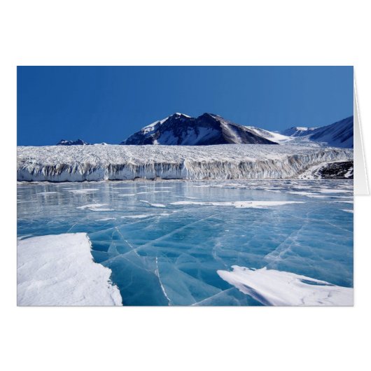 Antarctica Cards (Front Horizontal)