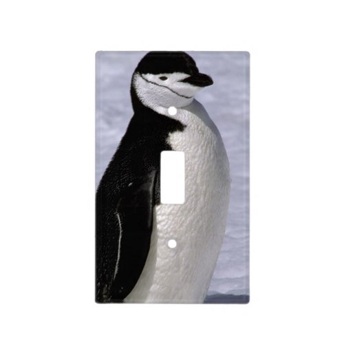 Antarctica Chinstrap penguin 2 Light Switch Cover