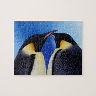 Penguin Jigsaw Puzzles | Zazzle