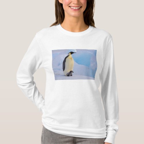 Antarctica Emperor Penguin Aptenodytes T_Shirt