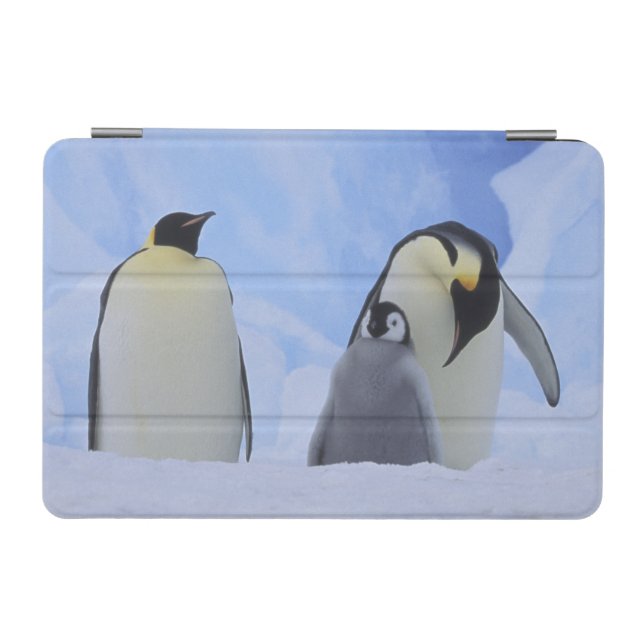 Antarctica. Emperor penguins and chick iPad Mini Cover (Horizontal)