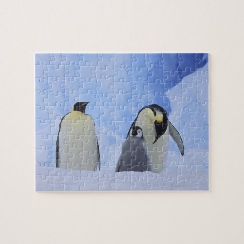 Antarctica Emperor penguins and chick Jigsaw Puzzle