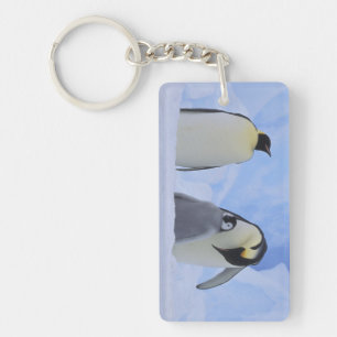 Antarctica. Emperor penguins and chick Keychain