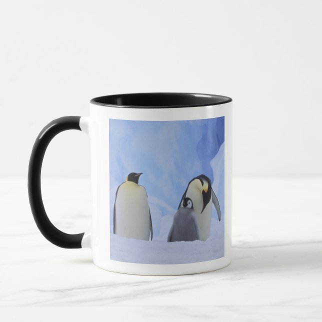 Antarctica. Emperor penguins and chick Mug (Left)