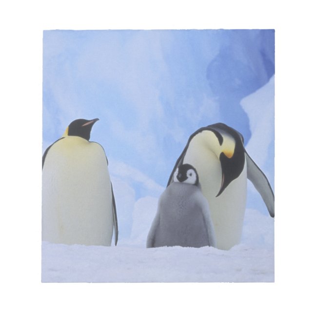 Antarctica. Emperor penguins and chick Notepad (Front)