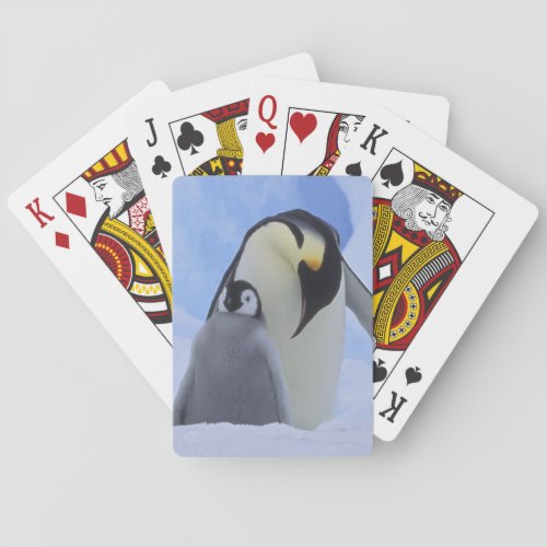 Antarctica Emperor penguins and chick Playing Cards