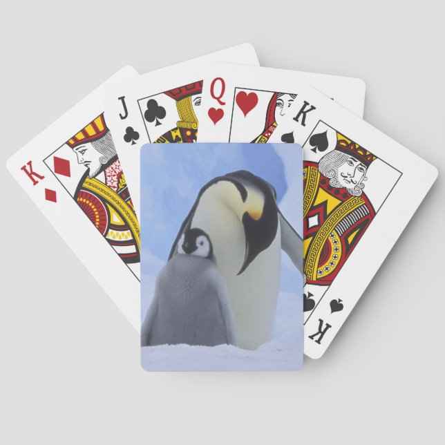 Antarctica. Emperor penguins and chick Poker Cards (Back)