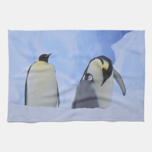 Antarctica. Emperor penguins and chick Towel