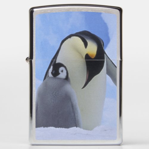 Antarctica Emperor penguins and chick Zippo Lighter