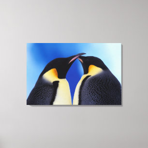 Antarctica, Emperor Penguins Canvas Print