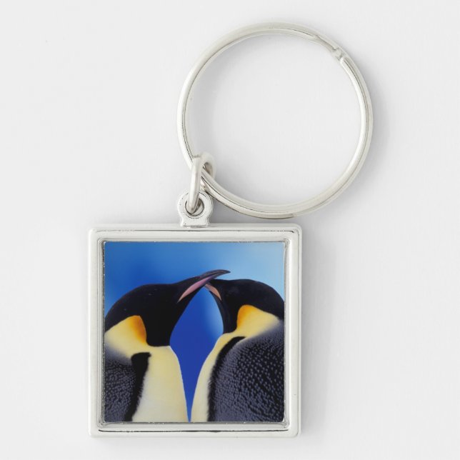 Antarctica, Emperor Penguins Keychain (Front)