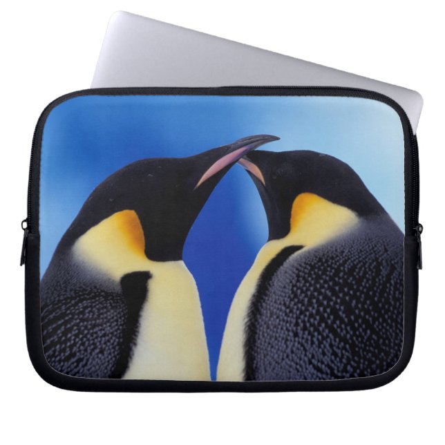 Antarctica, Emperor Penguins Laptop Sleeve (Front)