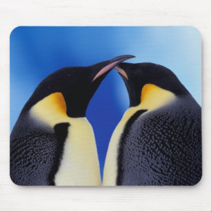 Antarctica, Emperor Penguins Mouse Pad