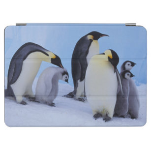 Antarctica, Emporer Penguin ((Aptenodytes iPad Air Cover
