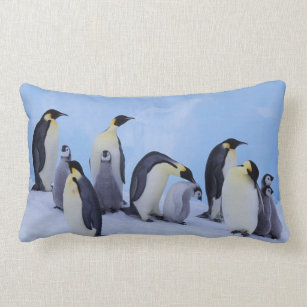 Antarctica, Emporer Penguin ((Aptenodytes Lumbar Pillow