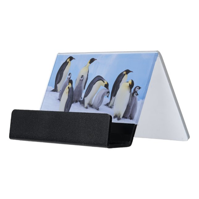 Antarctica, Emporer Penguins Desk Business Card Holder (Angled Front)