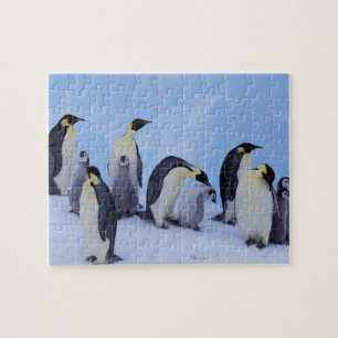 Antarctica, Emporer Penguins Jigsaw Puzzle