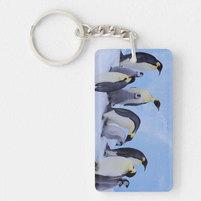Antarctica, Emporer Penguins Keychain (Front)