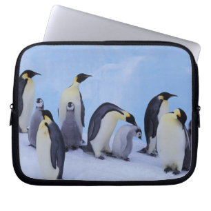 Antarctica, Emporer Penguins Laptop Sleeve