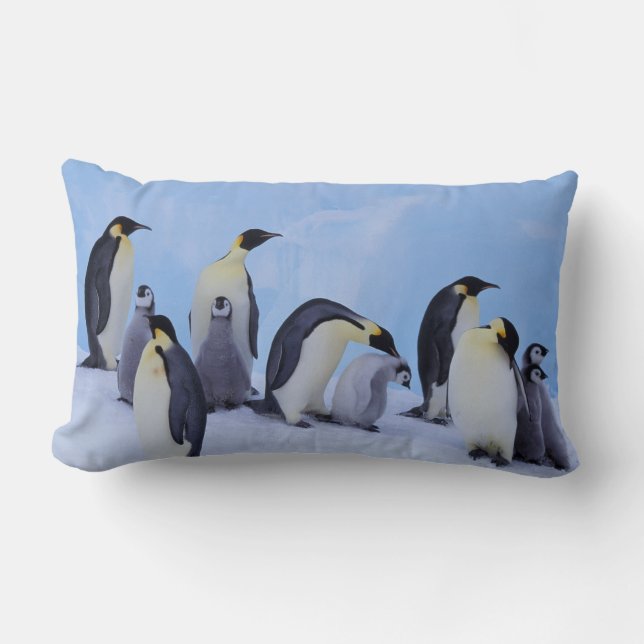 Antarctica, Emporer Penguins Lumbar Pillow (Front)