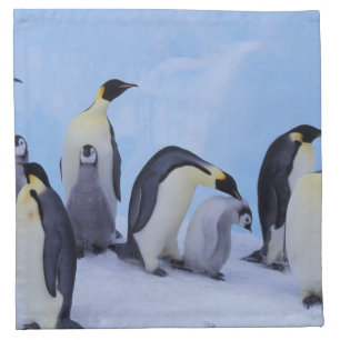Antarctica, Emporer Penguins Napkin