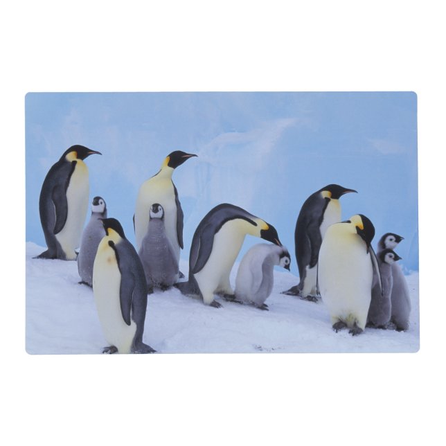 Antarctica, Emporer Penguins Placemat (Front)