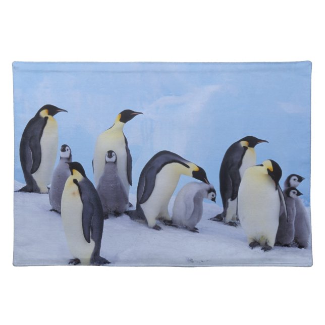 Antarctica, Emporer Penguins Placemat (Front)