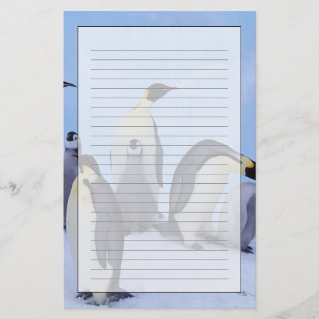 Antarctica, Emporer Penguins Stationery (Front)
