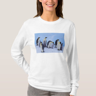 Antarctica, Emporer Penguins T-Shirt