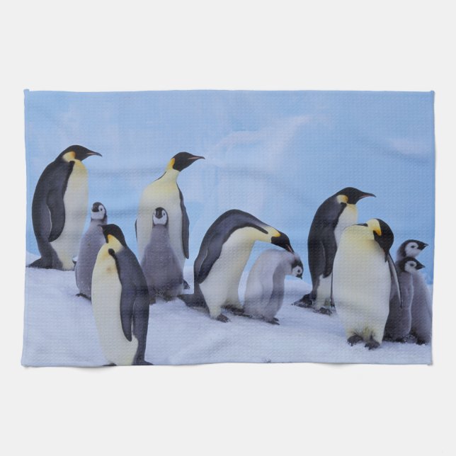 Antarctica, Emporer Penguins Towel (Horizontal)