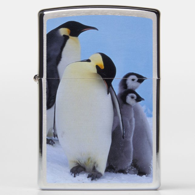 Antarctica, Emporer Penguins Zippo Lighter (Front)