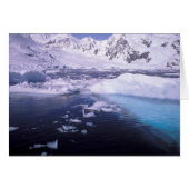 Antarctica. Expedition through icescapes (Front Horizontal)