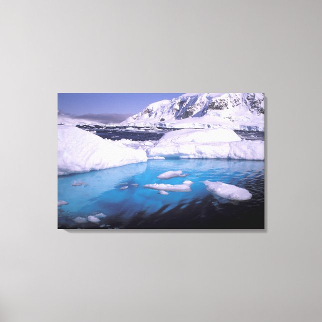 Antarctica. Expedition through icescapes 2 Canvas Print (Front)