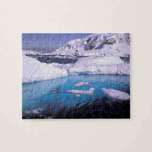Antarctica Expedition through icescapes 2 Jigsaw Puzzle