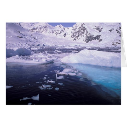 Antarctica. Expedition through icescapes Cards (Front Horizontal)