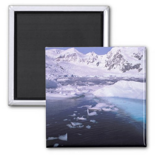 Antarctica Expedition through icescapes Magnet