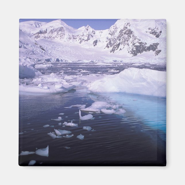 Antarctica. Expedition through icescapes Magnet (Front)