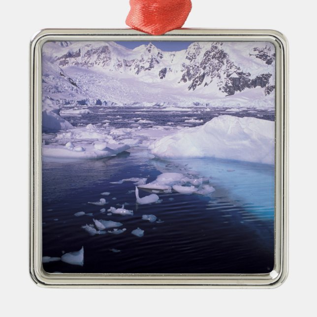 Antarctica. Expedition through icescapes Metal Ornament (Front)