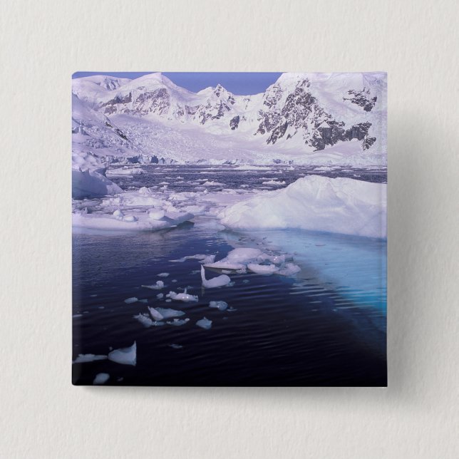 Antarctica. Expedition through icescapes Pinback Button (Front)