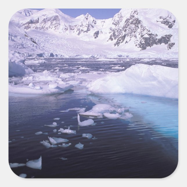 Antarctica. Expedition through icescapes Square Sticker (Front)