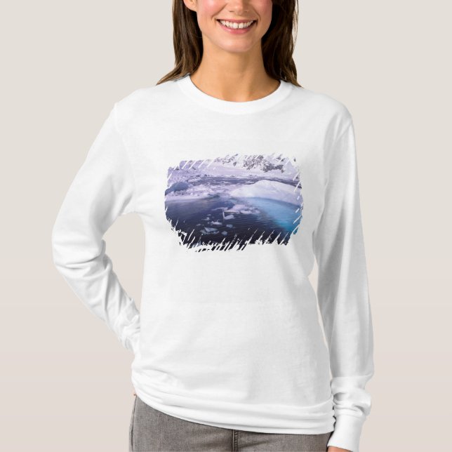 Antarctica. Expedition through icescapes T-Shirt (Front)