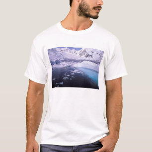 Antarctica. Expedition through icescapes T-Shirt