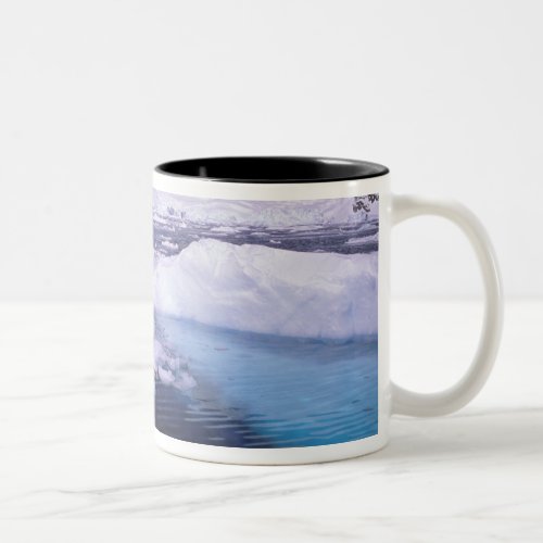Antarctica Expedition through icescapes Two_Tone Coffee Mug