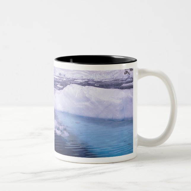 Antarctica. Expedition through icescapes Two-Tone Coffee Mug (Right)