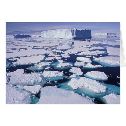 Antarctica, Ice flow. Cards (Front Horizontal)