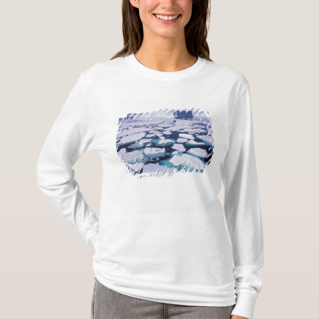 Antarctica, Ice flow. T-Shirt (Front)